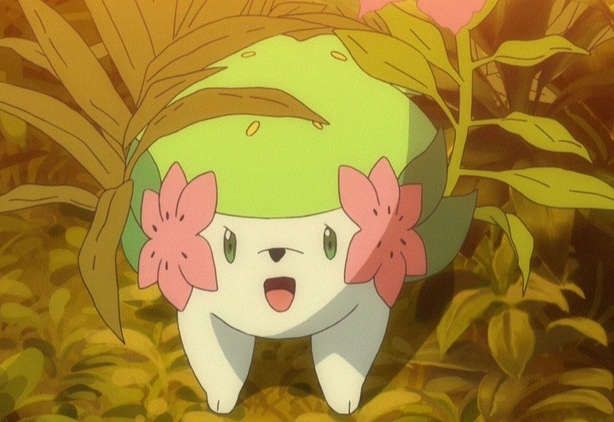 Sapphire △ on X: Notice how when Shaymin transforms into Sky-Forme, its  eyes are not regular Shaymin eyes. They resemble Mallow's mother's 😭💚  (SM146: Thank you Alola! The Journey Continues!) #anipoke #pokemon #