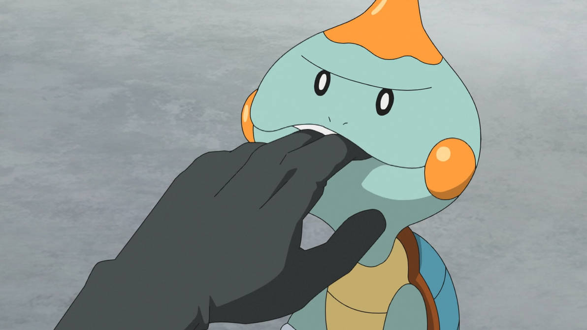 Chewtle the Snapping Pokemon by WillDinoMaster55 on DeviantArt
