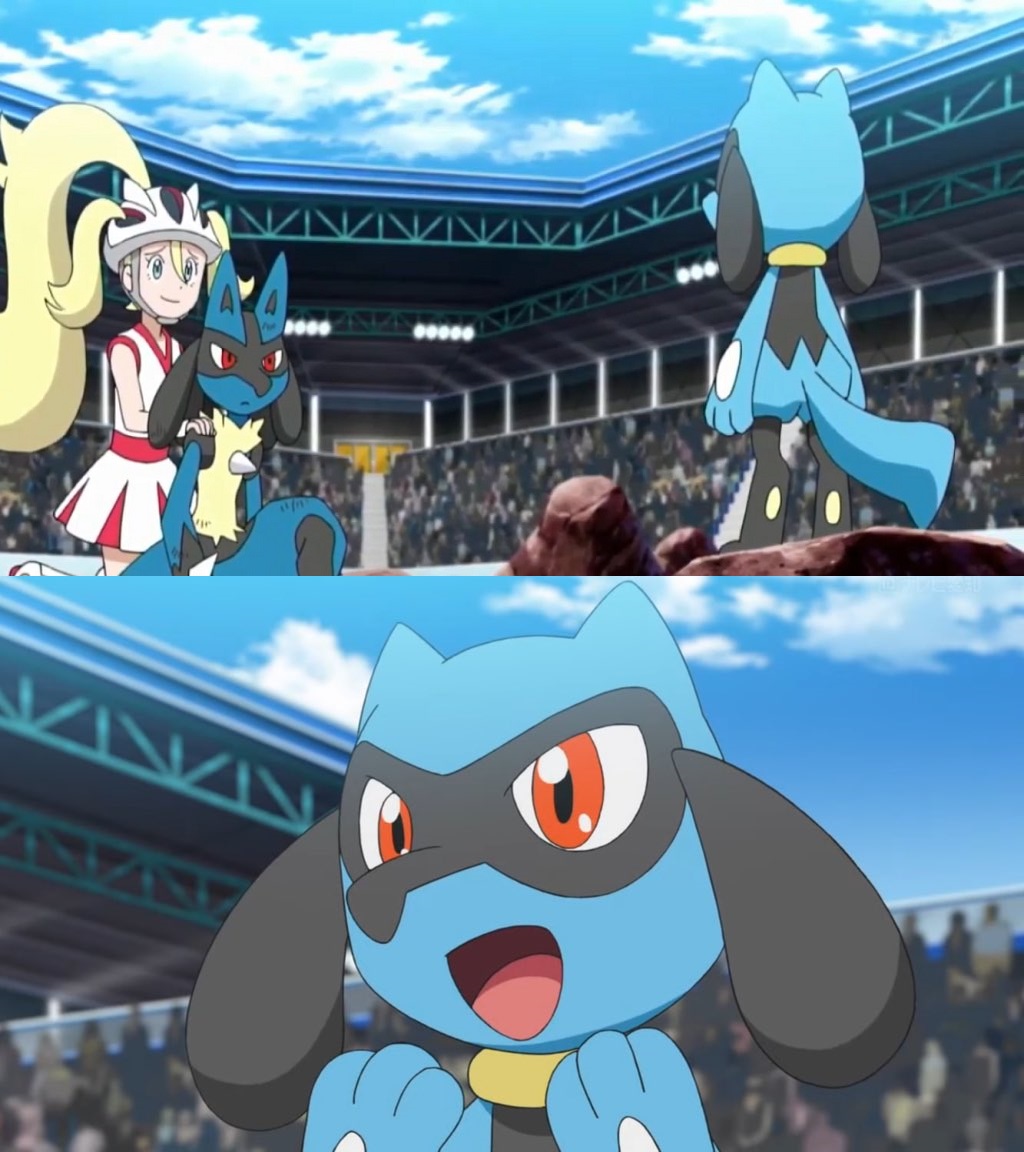 Ash S Riolu Ash's Riolu was inspired by WillDinoMaster55 on DeviantArt
