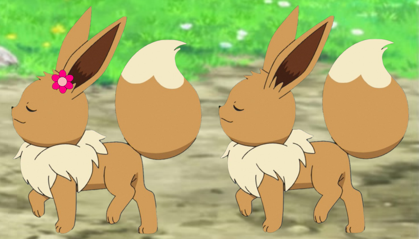 Pokemon Quest Two Eevees Walking Together By Willdinomaster55 On Deviantart Pokemon Quest Two Eevees Walking Together By Willdinomaster55 On Deviantart