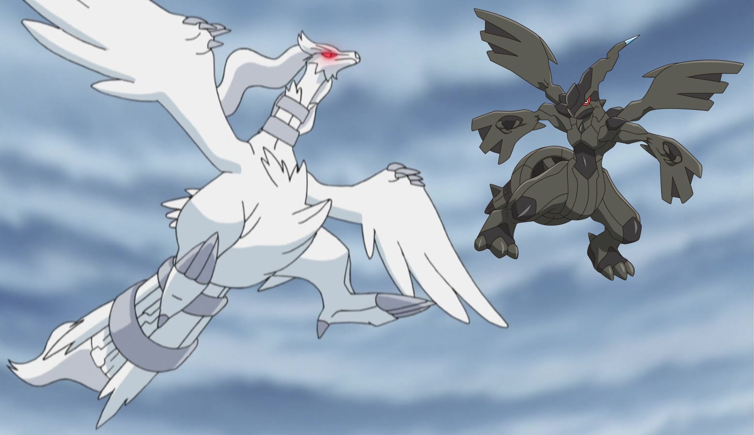 Reshiram and Zekrom Battle  Pokemon images, Pokemon, Pokemon blue