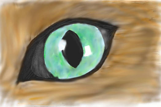 Cats Eye