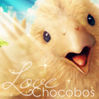 Chocobo Love - Icon