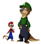SMG4 Mario and Luigi