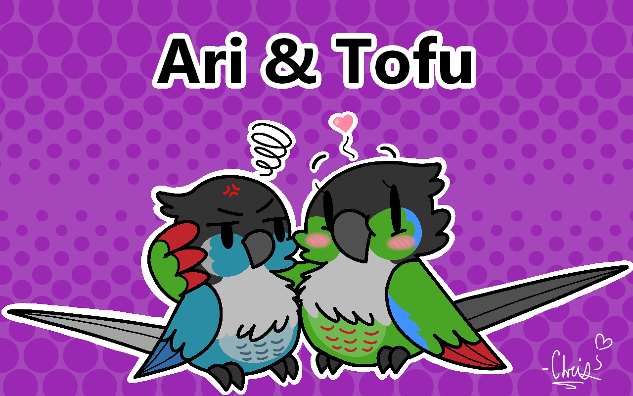 Ari and Tofu by cdgzilla9000 on DeviantArt