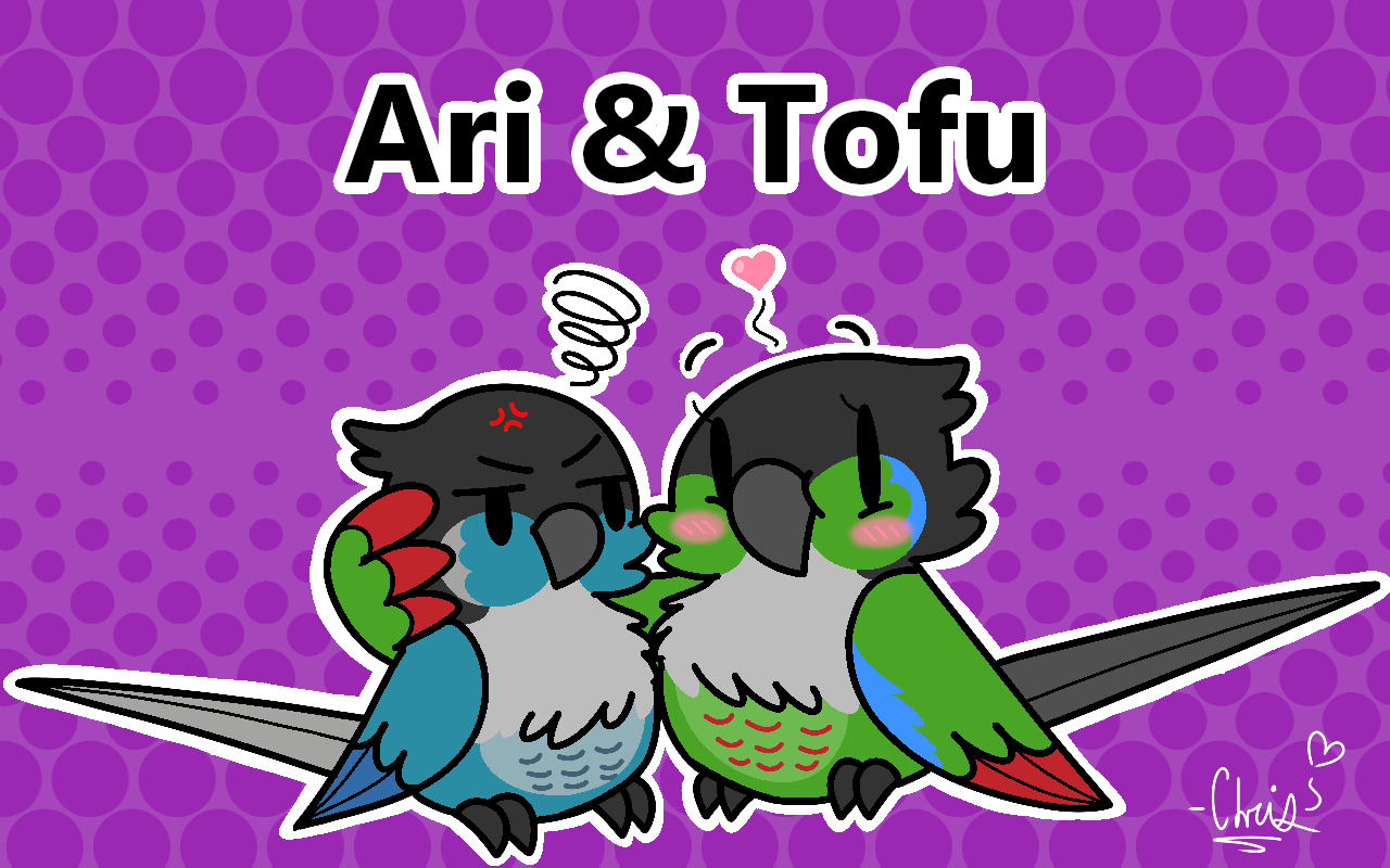 The secret is that she has another bird name tofu.😀 : r/jaidenanimations