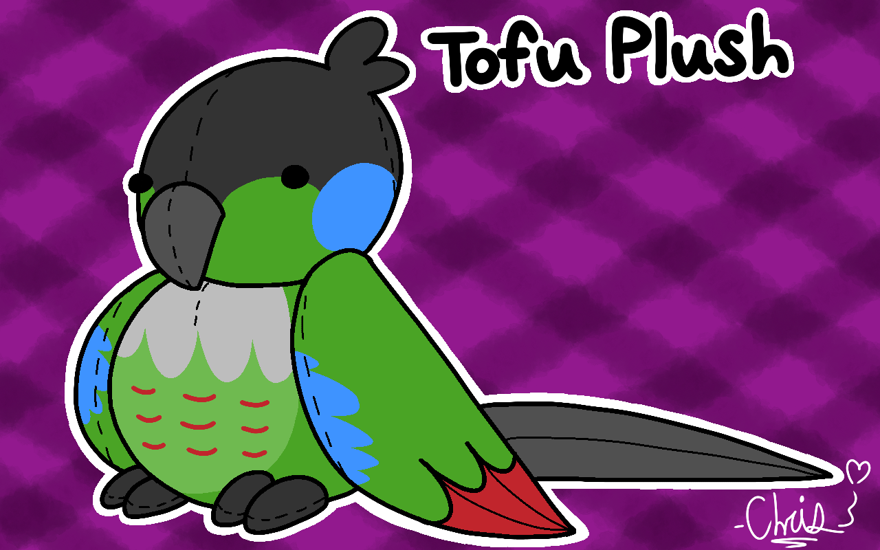 cdgzilla🎄 on X: @JaidenAnimation You now have a bird named tofu. She is a  baby, & she is a girl. That means Ari now has a little sister.   / X