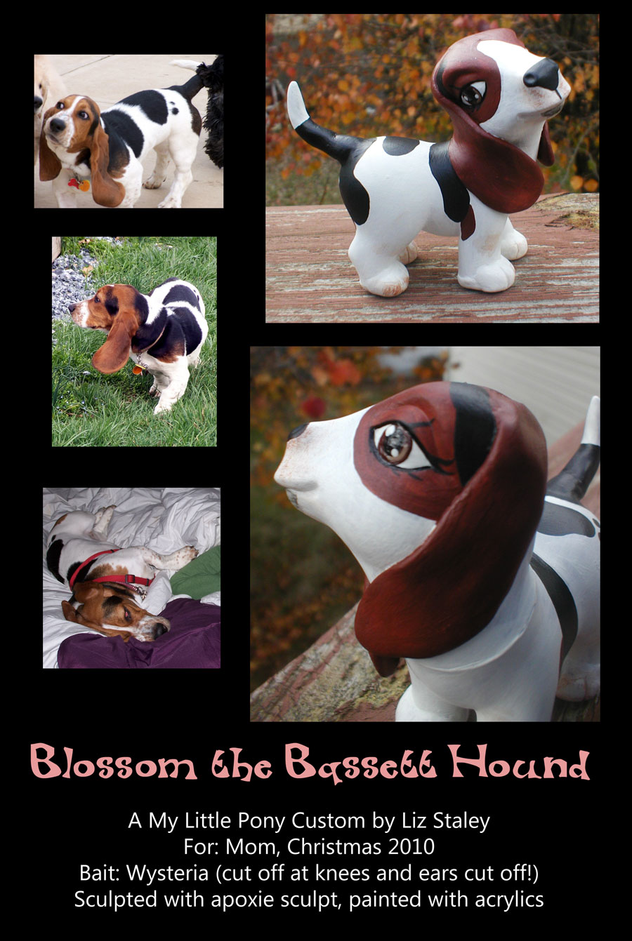 Blossom the Basset Pony