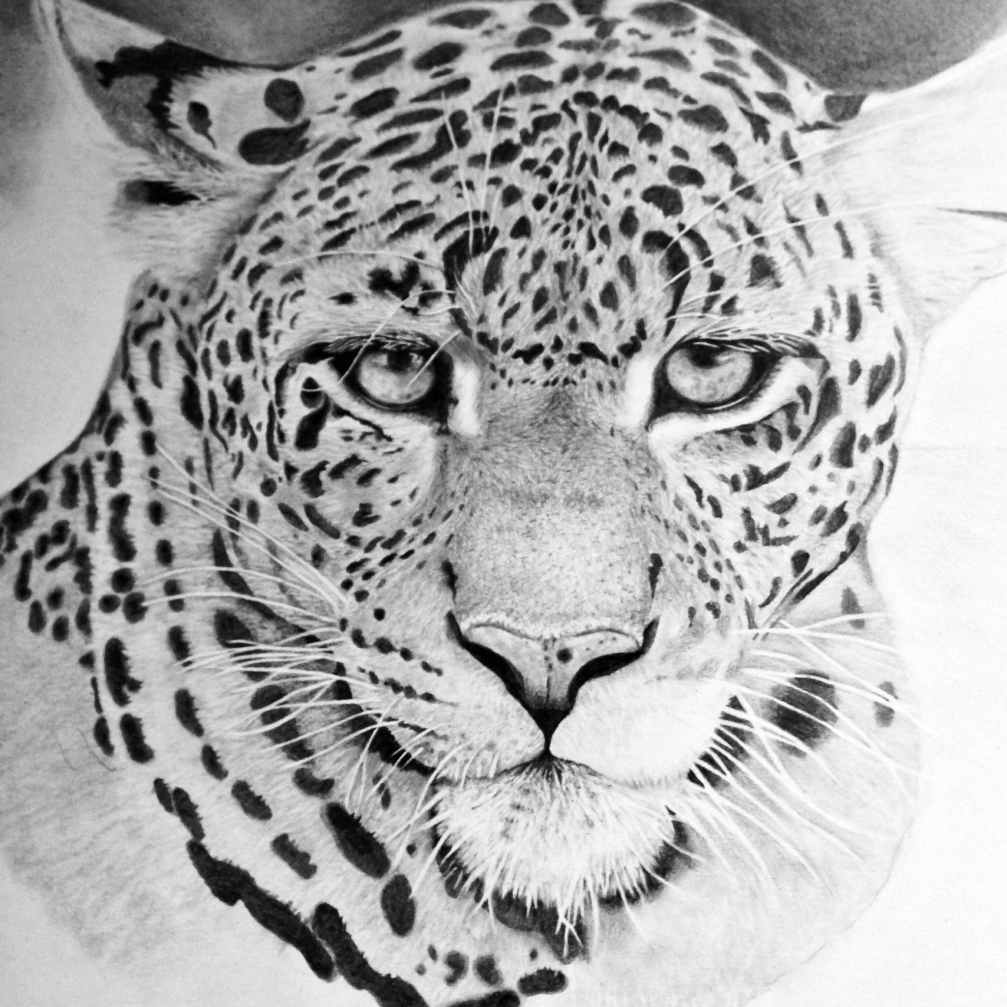 Hyper Realistic Animal Drawing By Gallerydeceylon On Deviantart