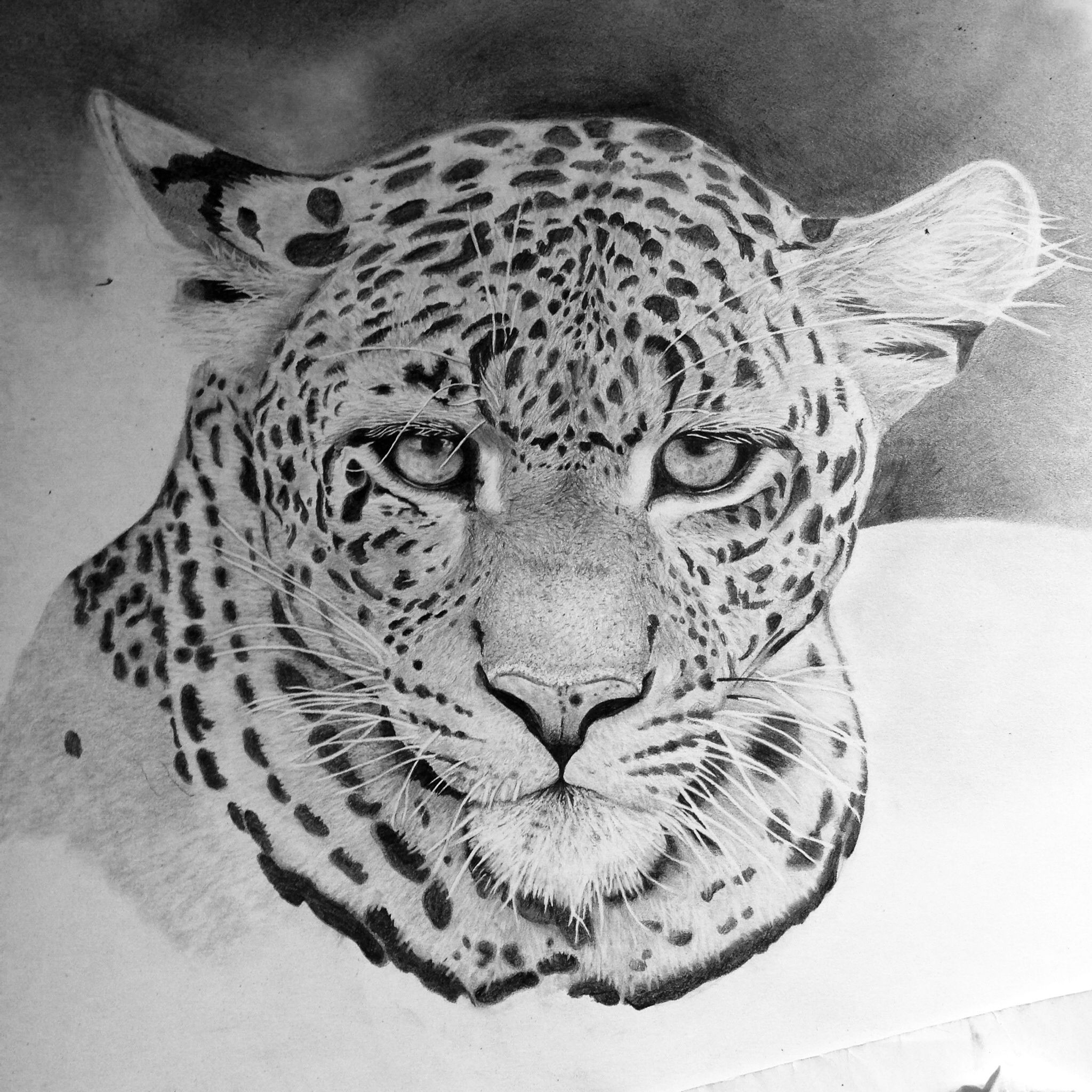 Hyper Realistic Animal Leopard Drawing by gallerydeceylon on DeviantArt