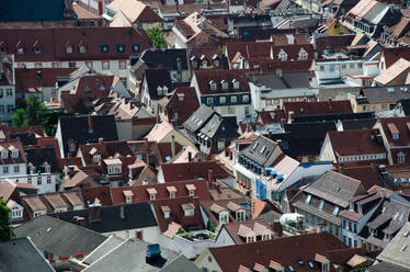 Heidelberg roofs