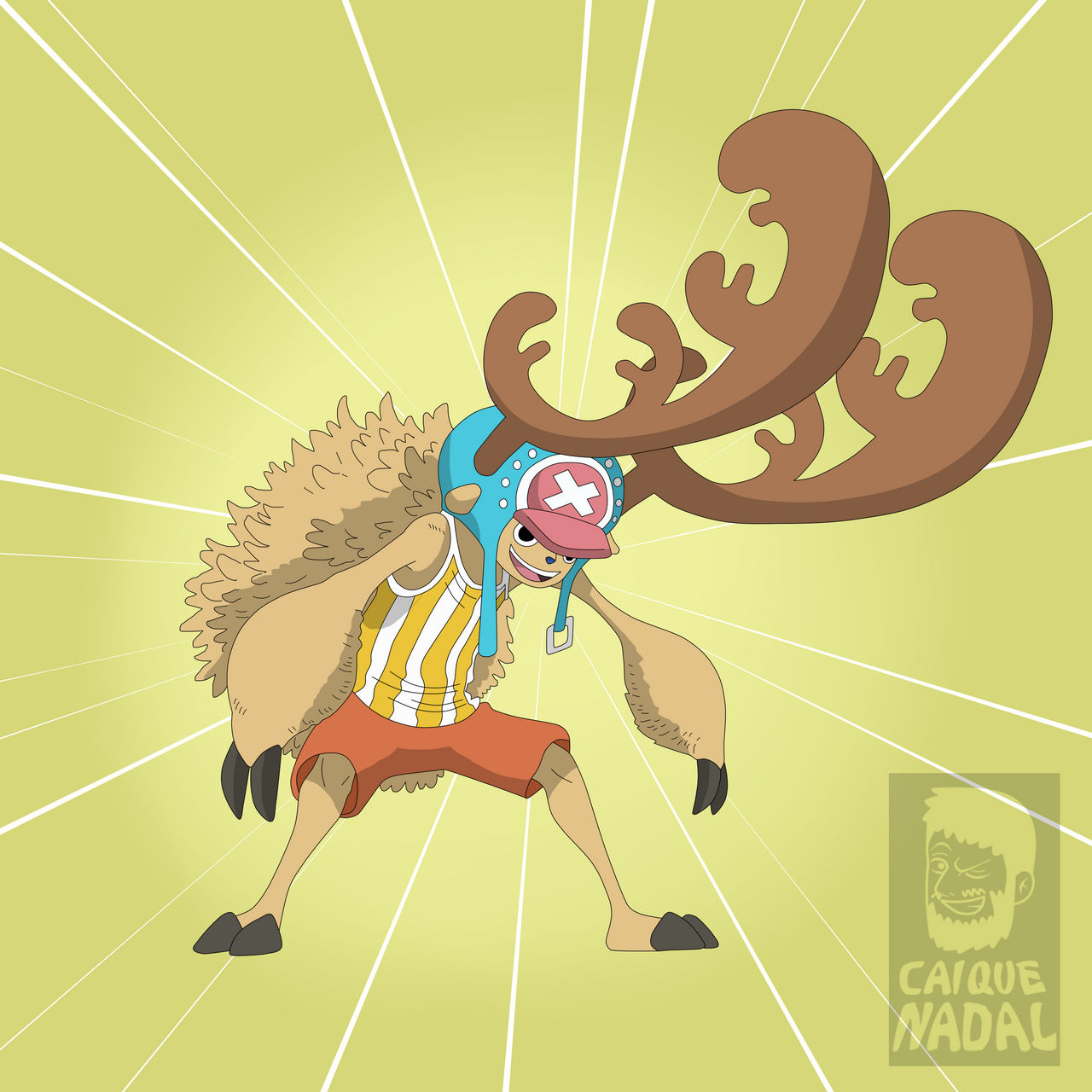 Chopper One Piece Transformations at Paul Pineda blog