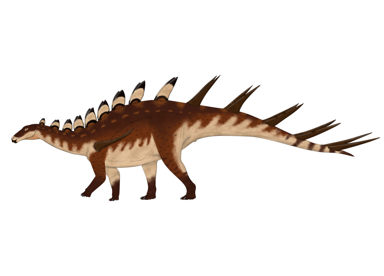 Kentrosaurus aethiopicus by gonzaleztorresdaniel on DeviantArt