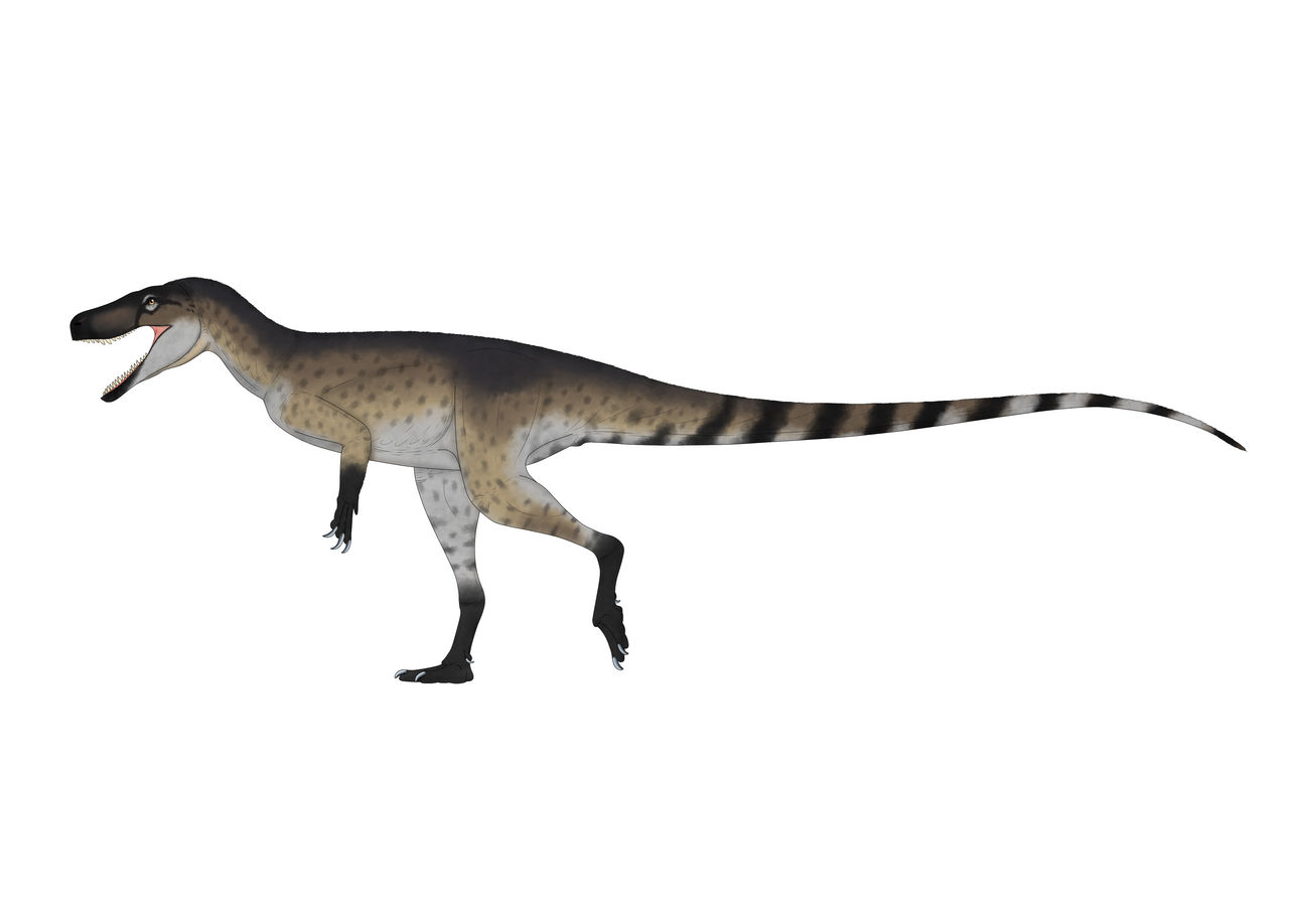 Staurikosaurus pricei by gonzaleztorresdaniel on DeviantArt
