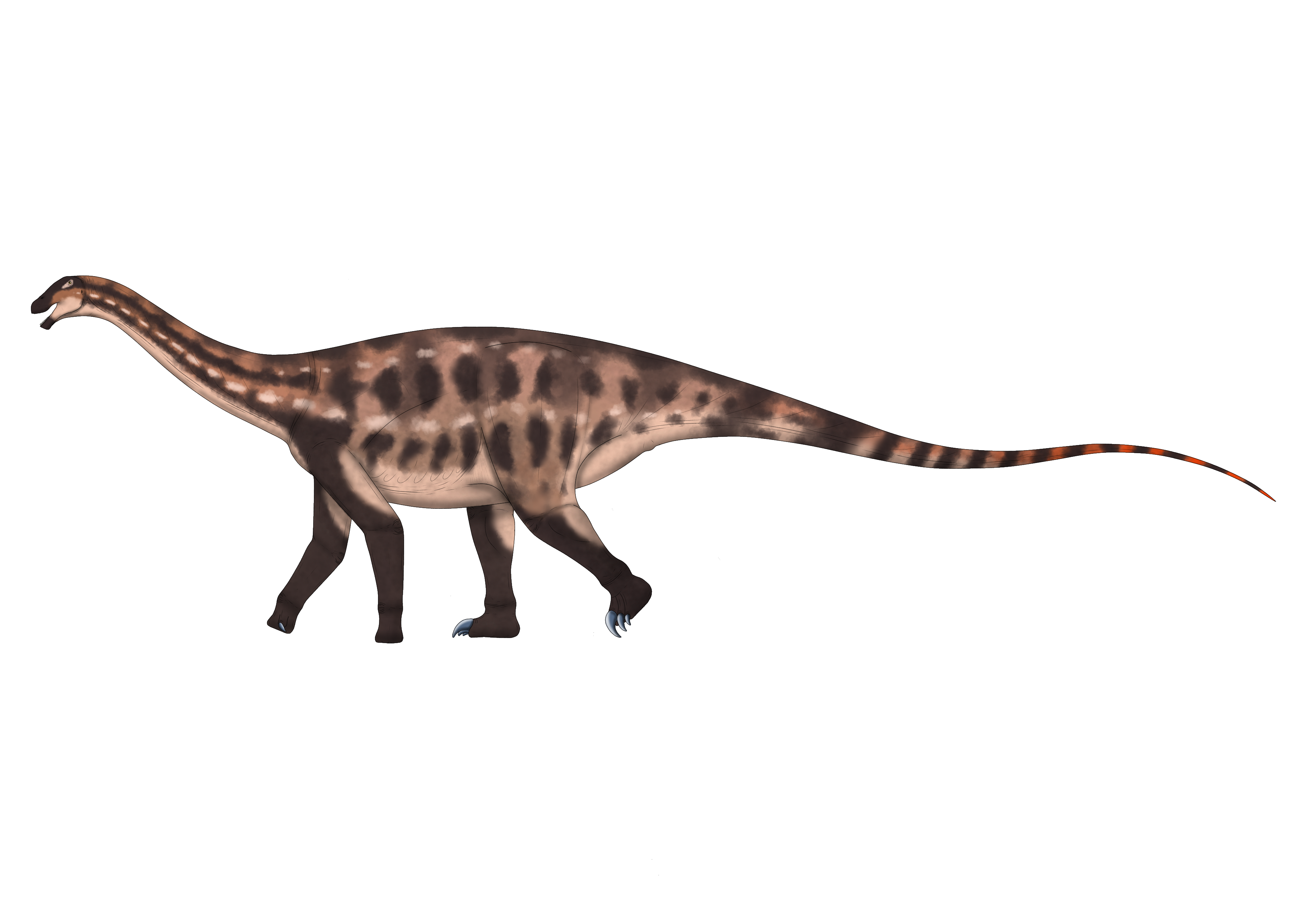 Transparent Limaysaurus Limaysaurus tessonei by gonzaleztorresdaniel on DeviantArt