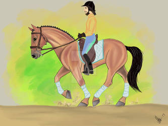 Dressage