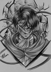 Levi