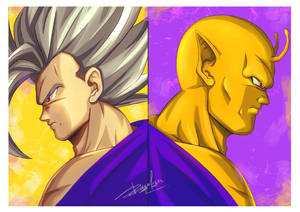 Gohan and Piccoro