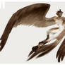 01 Harpy