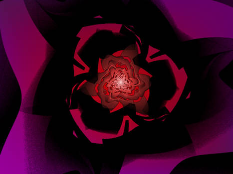Shadowfell Rose