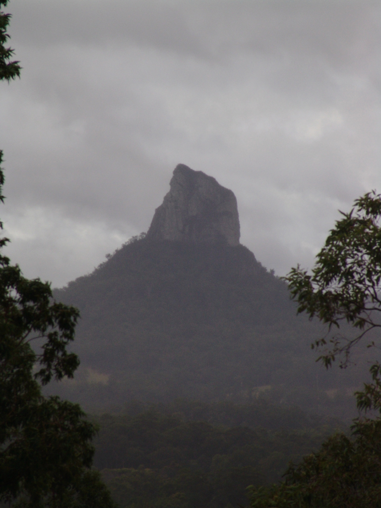 Mountain Mist