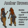 Amber Reference Sheet 2026
