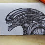 Xenomorph (headsketch)