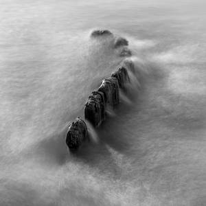 Decay II by NicoFroehberg Decay II by NicoFroehberg