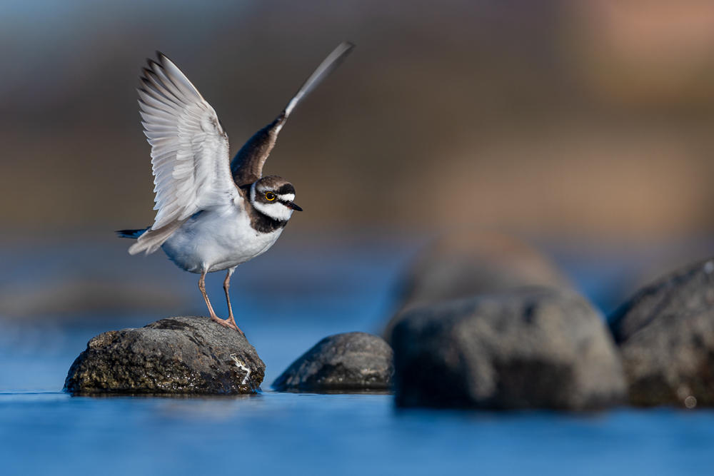 Little Angel by NicoFroehberg