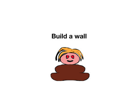 TRUMP WE BUILD WALLS