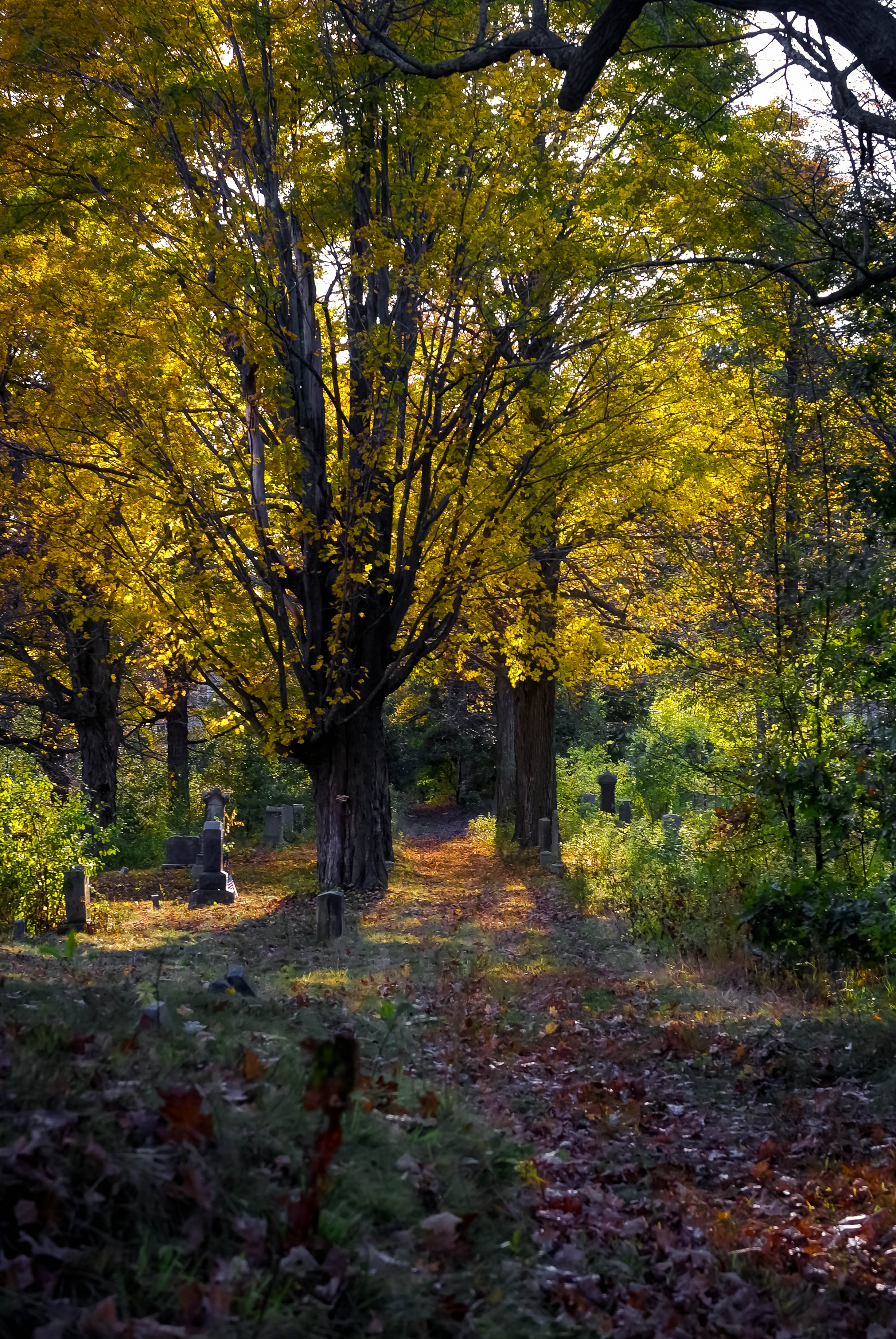 Hilldale, Autumn 2013