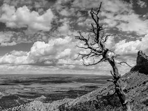 Mesa Verde View 3