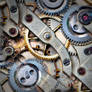 Gears of life