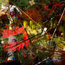 TWENTY HOURS / Metaphor