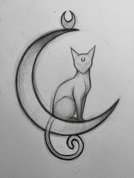 Wiccan Cat