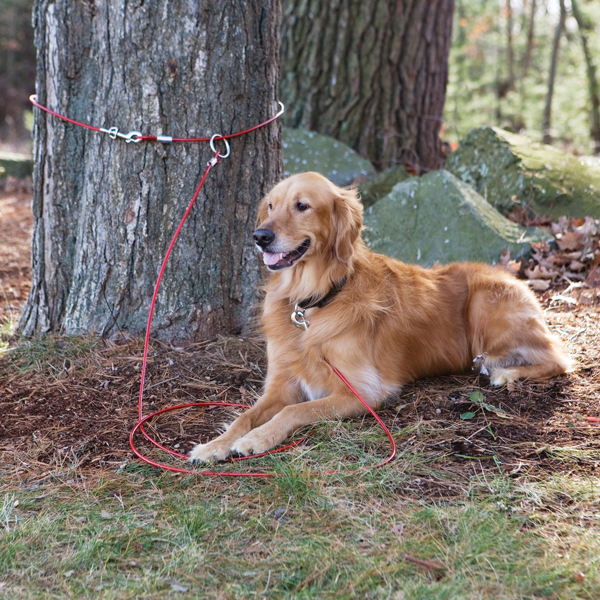 Cruising-companion-tree-dog-tieout--3