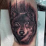 Wolf with forest tattoo - a modern classic