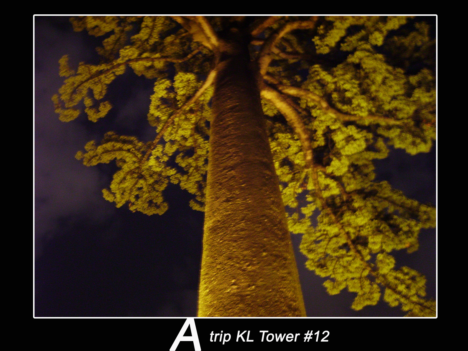 A trip to KL tower.12