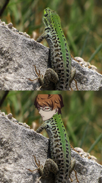 Anime Riding Lizard Lizard Nishiki by SeidouTakizawa on DeviantArt
