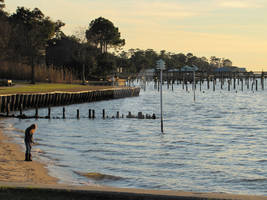 Fairhope Beach