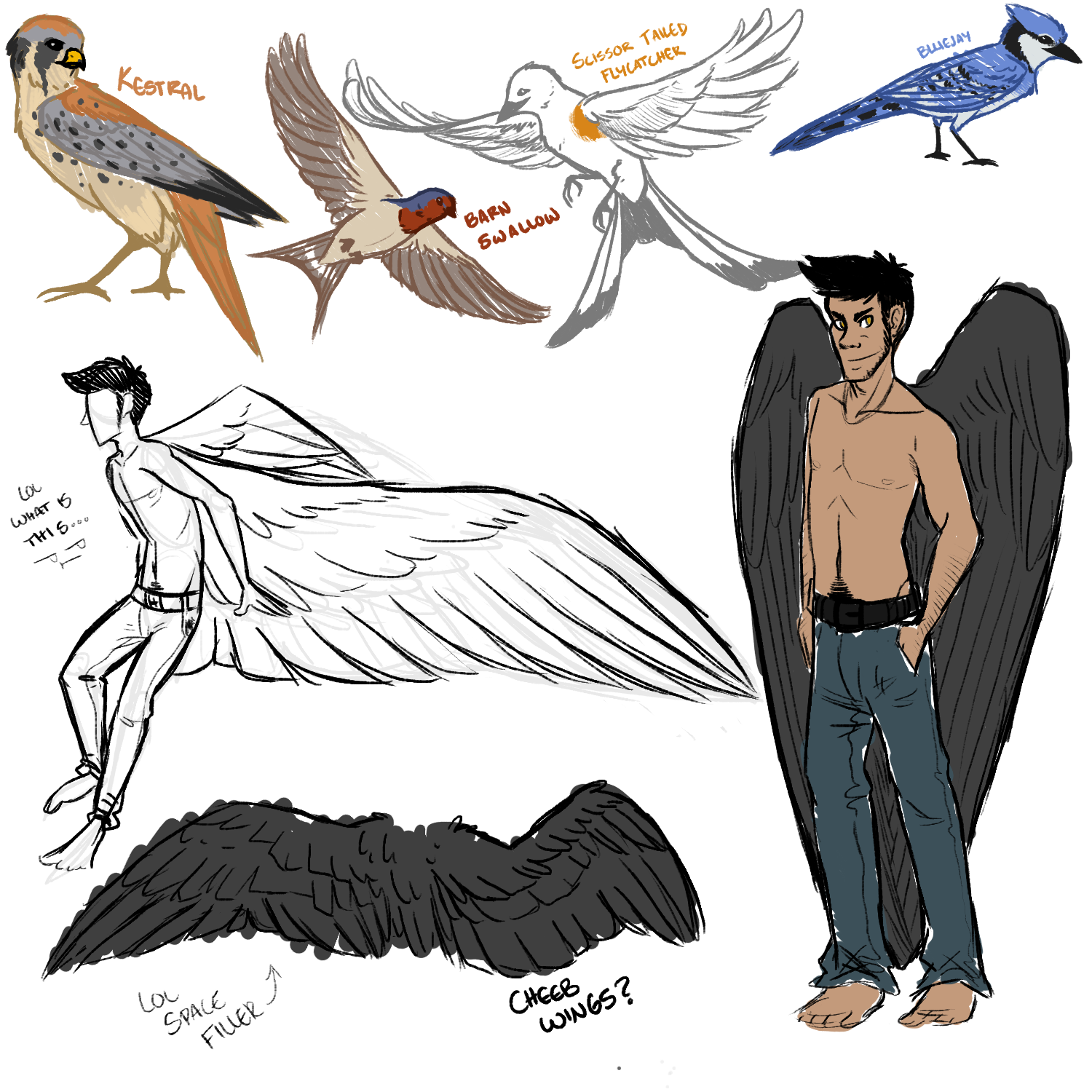 More Winged Things More Tumblr Sketches By Pidgepudge On Deviantart