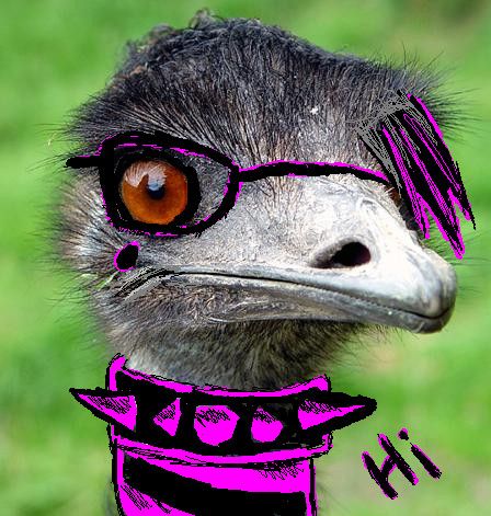 bob teh emo emu