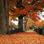 Autumn Cemetery II