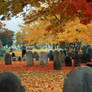 Autumn Cemetery IV