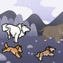 DG Hunt 236