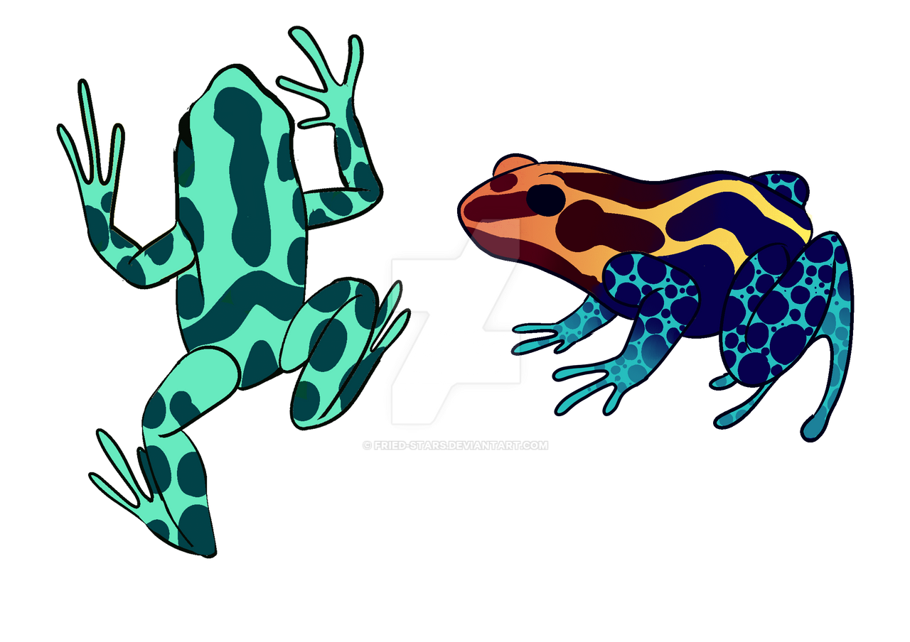 Turtle Frog Deviantart Frogs From Stream by fried-stars on DeviantArt