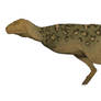 Aucasaurus garridoi