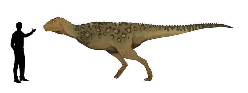 Aucasaurus Explore the Best Aucasaurus Art | DeviantArt