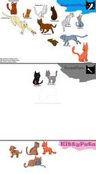 Warrior Cats Clans of the bigwood