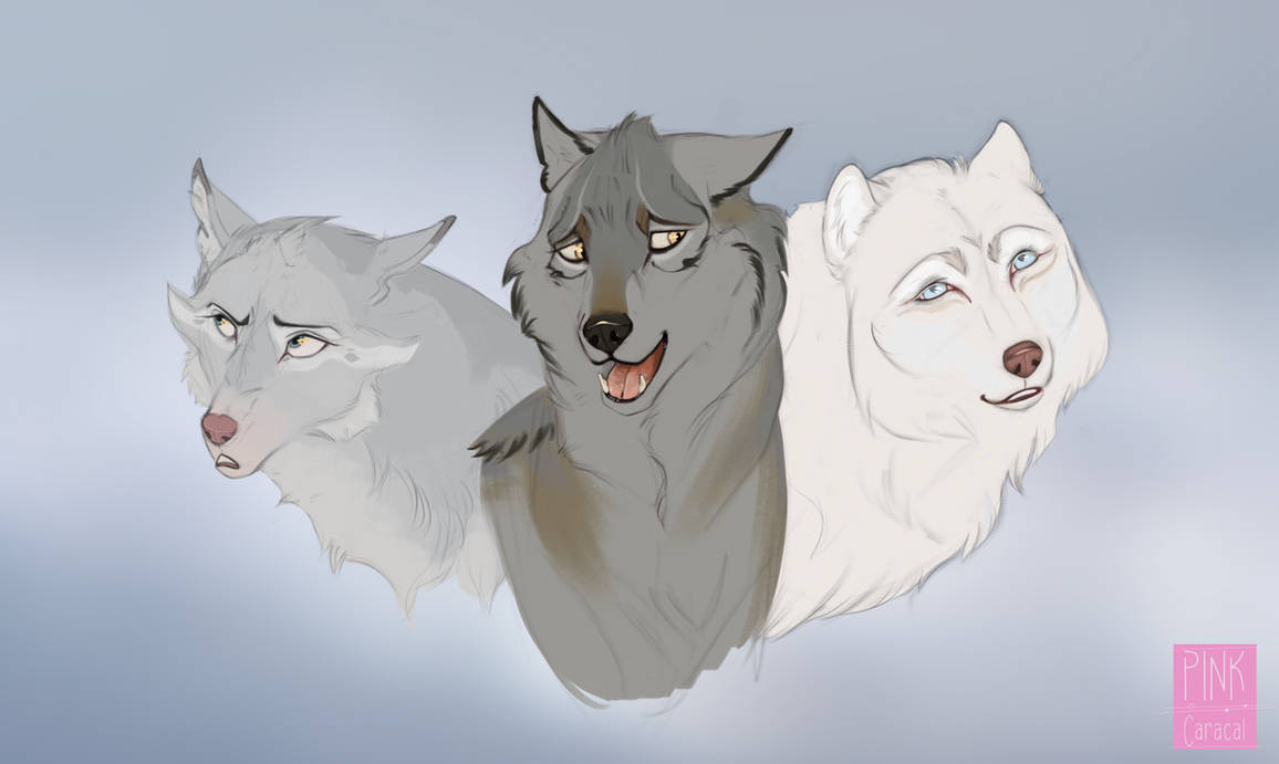 Vatahv Eynar Skowyja And Hyzenthlaja By Derpcia On Deviantart Vatahv Eynar Skowyja And Hyzenthlaja By Derpcia On Deviantart